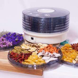 Electric Food Dehydrator dryer for household use