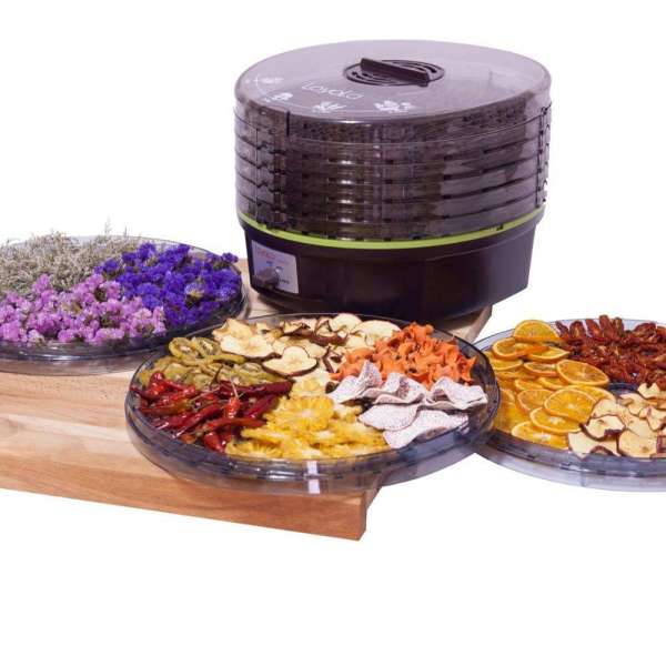 Food dehydrator dryer with temperature control